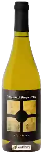 Weingut Abbazia di Propezzano - Anfora