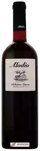 Weingut Alodio