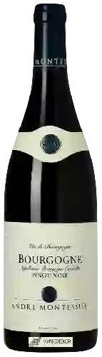 Weingut Andre Montessuy - Bourgogne Pinot Noir