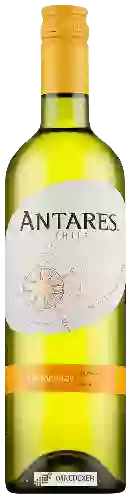 Weingut Antares - Chardonnay