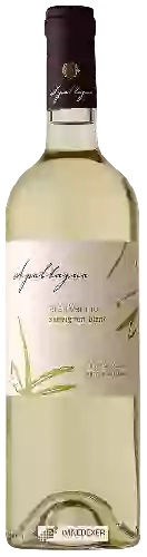 Weingut Apaltagua