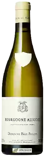 Weingut Paul Pillot - Bourgogne Aligoté