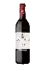 Weingut Blason Louis - Chinon