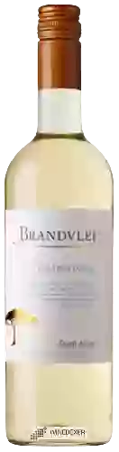 Weingut Brandvlei - Chardonnay Dry