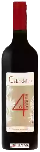 Weingut Cabridelles - 4 Mains