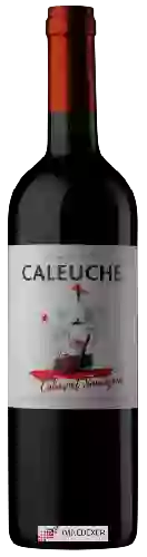 Weingut Caleuche