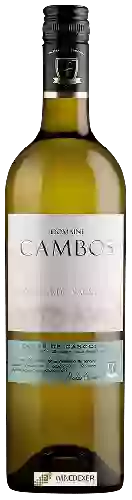 Domaine Cambos - Colombard - Sauvignon Côtes de Gascogne