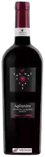 Weingut Cantavitae