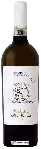 Weingut Carminucci