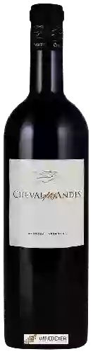 Weingut Cheval des Andes - Mendoza