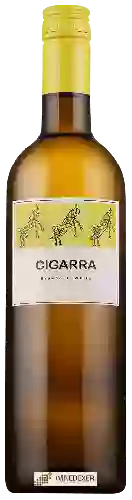 Weingut Cigarra