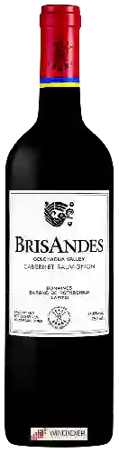 Weingut BrisAndes - Cabernet Sauvignon