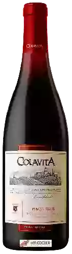 Weingut Colavita