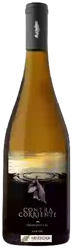 Contra Corriente Bodega - Chardonnay