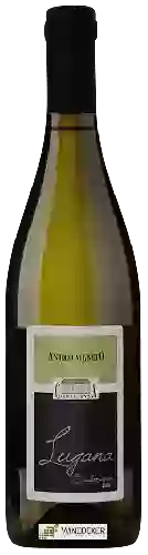 Weingut Corte Anna - Antico Vigneto Lugana Superiore