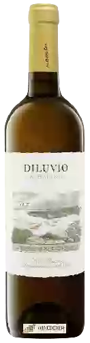 Weingut Diluvio