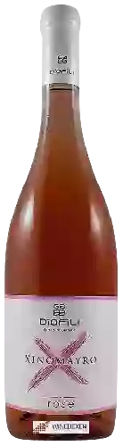 Weingut Dio Fili - Xinomavro Rosé