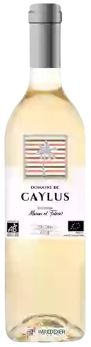 Domaine de Caylus - Blanc