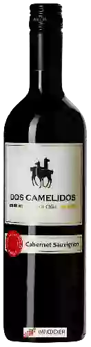 Weingut Dos Camelidos