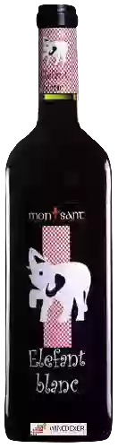 Weingut Ricard M de Simón - Elefant Blanc