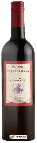 Weingut Quinta da Espiga