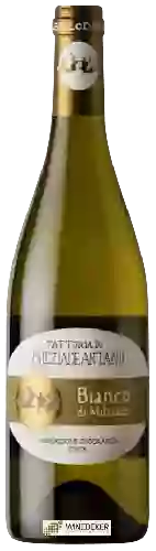 Weingut Fattoria Colleallodole Milziade Antano