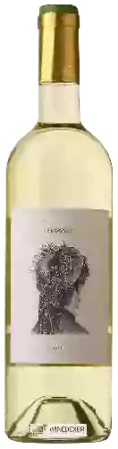 Weingut Fenomenal - Rueda Blanco