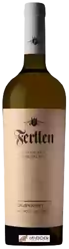 Ferllen Winery - Chardonnay
