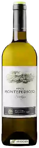 Weingut Finca Montepedroso - Rueda Verdejo