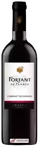 Weingut Fortant - Cabernet Sauvignon