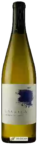 Weingut Gallica - Albariño