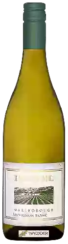Weingut Isabel - Sauvignon Blanc