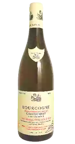 Weingut Jean-Michel Guillon - Bourgogne Chardonnay