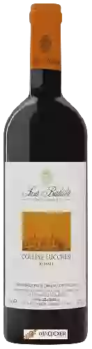 Weingut La Badiola - Colline Lucchesi