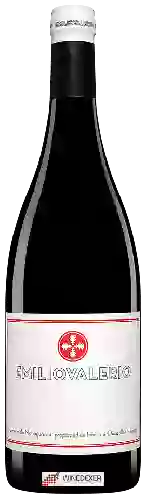 Weingut Laderas de Montejurra - Emilio Valerio