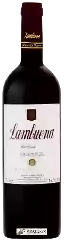 Weingut Lambuena - Crianza