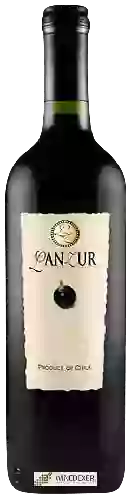 Weingut LanZur - Cabernet Sauvignon