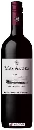 Weingut Mas Andes