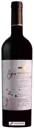 Weingut Millaman - Paya de Millaman Cabernet Sauvignon