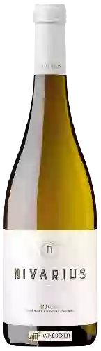 Weingut Nivarius - Blanco