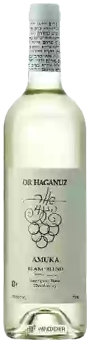 Weingut Or Haganuz