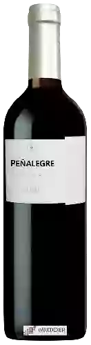 Weingut Peñalegre - Toro