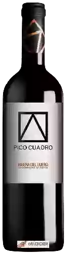 Weingut Pico Cuadro