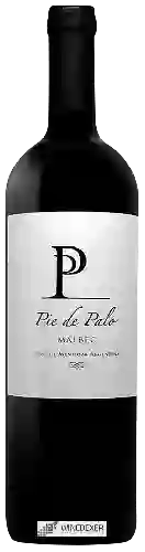 Weingut Pie de Palo - Malbec
