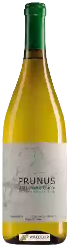 Weingut Prunus - Branco