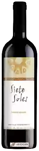 Weingut Siete Soles