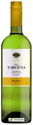 Weingut Viña Taboexa