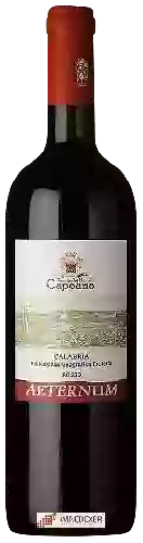 Weingut Tenuta dei Baroni Capoano - Aeternum Calabria Rosso