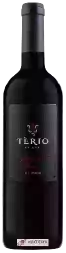 Weingut Terio Wines - Cabernet Franc