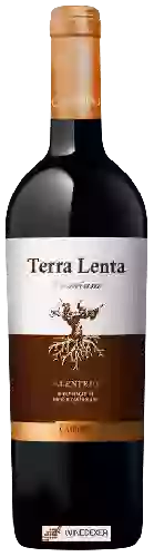 Weingut Terra Lenta - Alentejo Premium